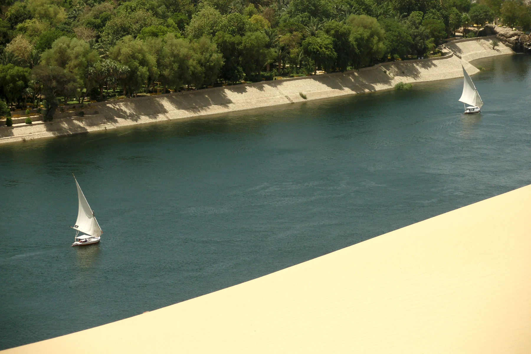 Two sailing feluccas on the Nile beside a green riverbank at Aswan